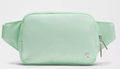 Everywhere Belt Bag 2L